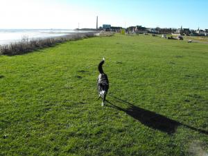 2010_1110levenbeach0005.JPG