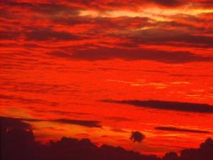 2010_1117morningsky0002.JPG