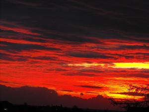 2010_1117morningsky0001.JPG
