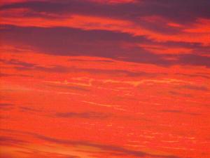 2010_1117morningsky0003.JPG