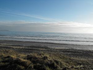 2010_1119beachleven0002.JPG