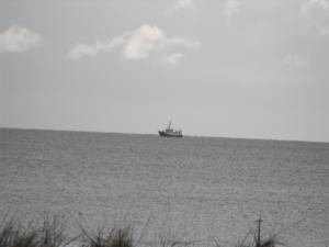 2010_1125beachleven0004.JPG