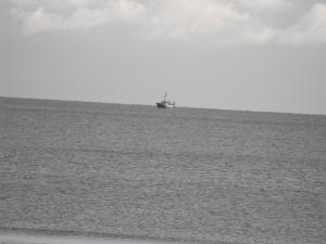 2010_1125beachleven0002.JPG
