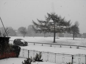 2010_1128housesnow0001.JPG
