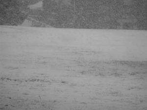 2010_1128housesnow0002.JPG