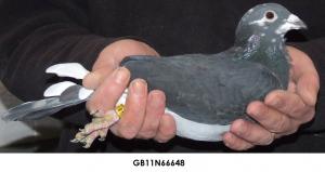 post-243-13210209703449_thumb.jpg