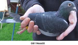 post-243-1322408183156_thumb.jpg