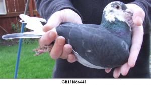 post-243-13224082463867_thumb.jpg