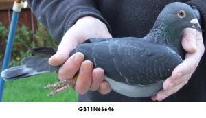 post-243-13224086386801_thumb.jpg