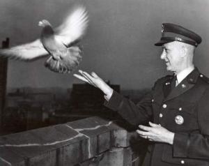 poutre1957.jpg