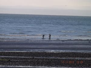 beach17.11.12 003.JPG