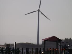 beachwindfarm 002.JPG