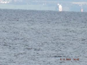 forth3.11.14 002.JPG