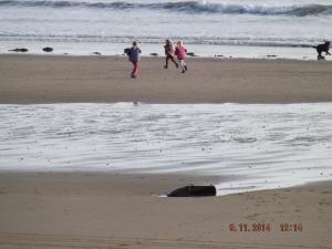 LEVENBEACH 002.JPG