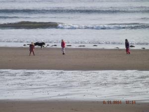 LEVENBEACH 003.JPG