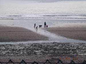 LEVENBEACH 005.JPG