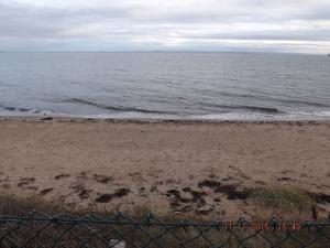 newoldcarabeach 022.JPG