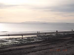 fishingbeach 004.JPG