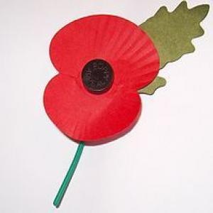 fileroyal_british_legion27s_paper_poppy__white_background_9344.jpg