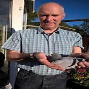 Peter Keogh .jpg