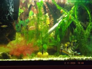 DSCF0291.JPG