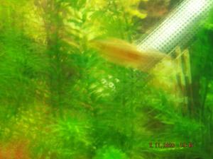 DSCF0292.JPG