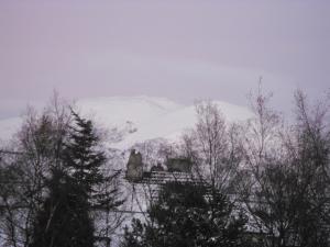 2010_1206housesnowadvent0001.JPG