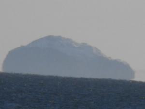 2010_1225weefiferpresandforth0006.JPG