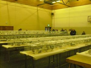 2011_1210fifefedshow0003.JPG