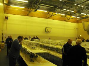 2011_1210fifefedshow0005.JPG