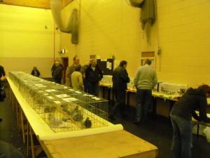2011_1210fifefedshow0006.JPG