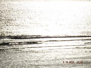levenbeach2.12.12 007.JPG