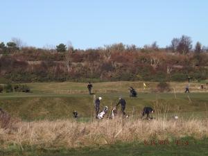 levenbeach2.12.12 001.JPG