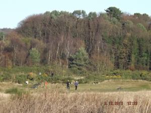 levenbeach2.12.12 008.JPG