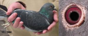 post-243-13874798001259_thumb.jpg