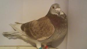 DSC00013.JPG