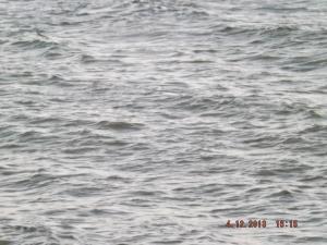 DSCF2293.JPG