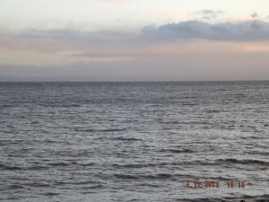 DSCF2294.JPG