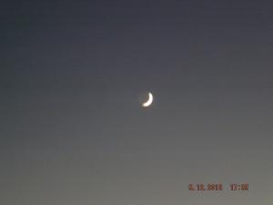 DSCF2305.JPG