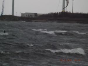 DSCF2331.JPG