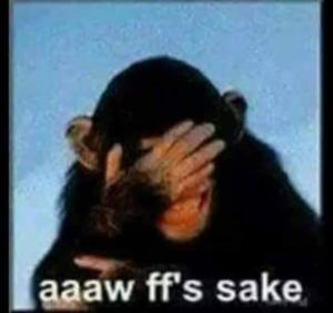 monkey.jpg