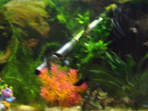 DSCF0329.JPG