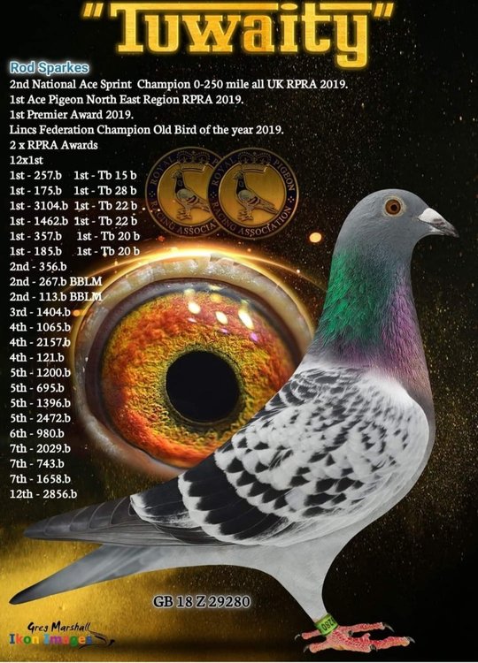Screenshot_20211008-163316_Facebook.jpg