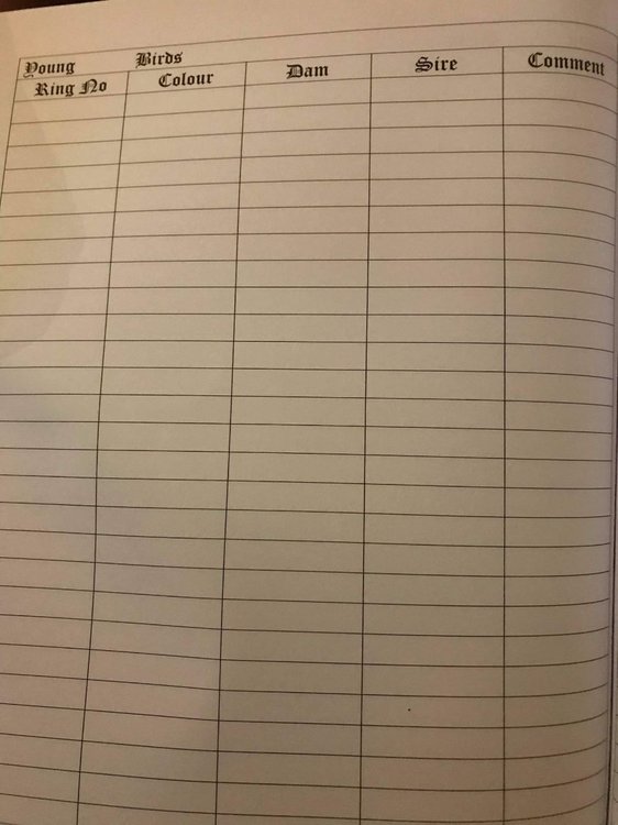 received_1388277404900377.jpeg