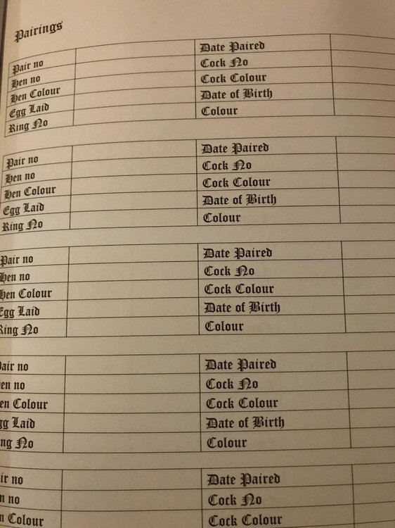 received_3066559103668860.jpeg