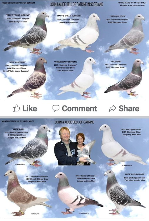 Screenshot_20211112-135933_Facebook.jpg