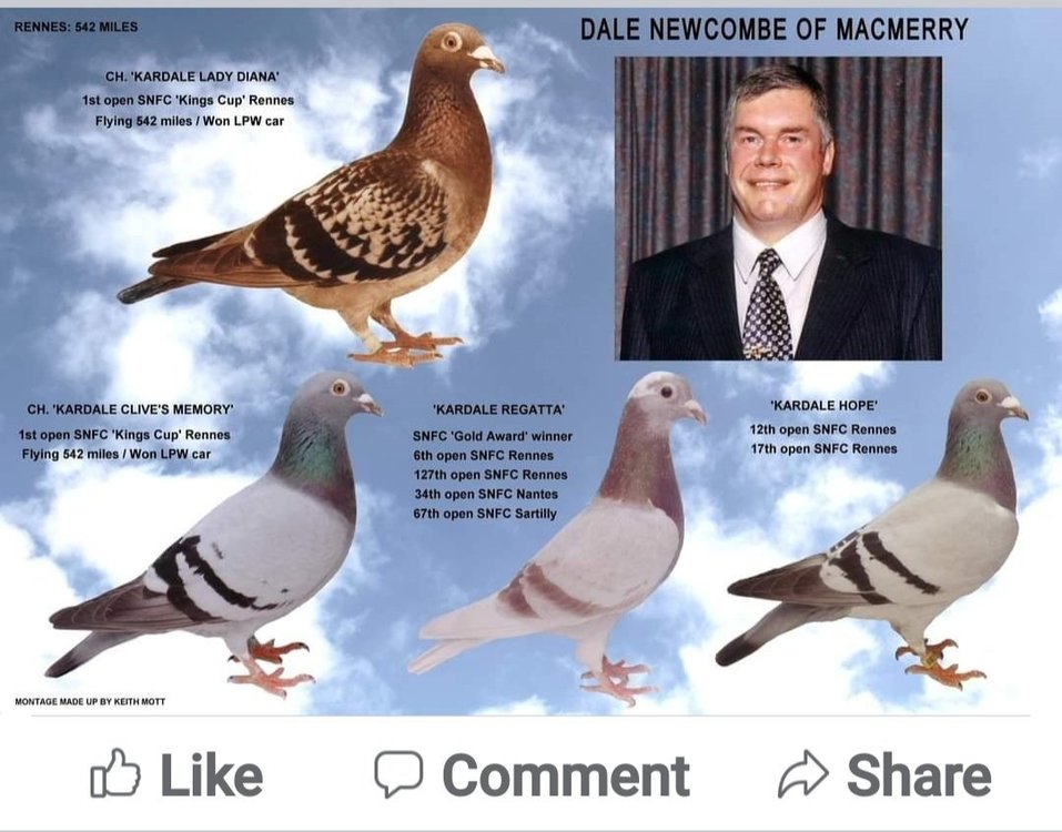 Screenshot_20211112-140124_Facebook.jpg