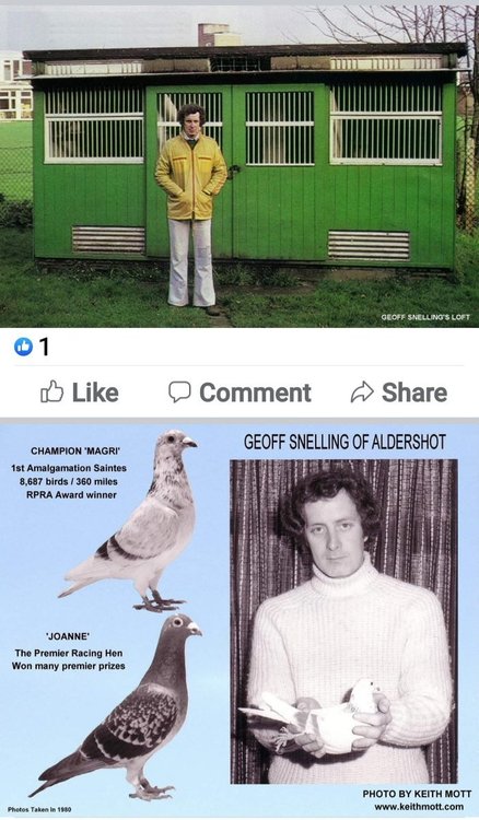 Screenshot_20211117-122851_Facebook.jpg