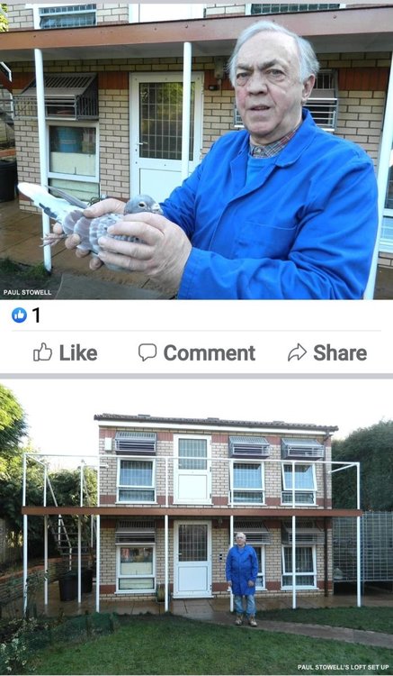 Screenshot_20211217-113500_Facebook.jpg
