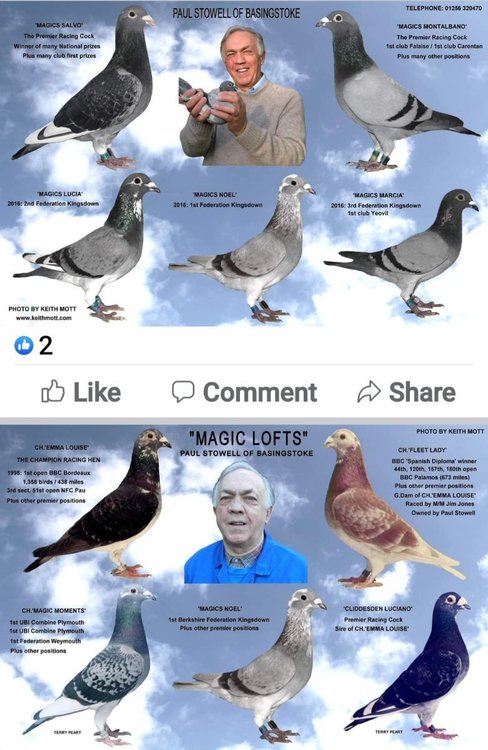 Screenshot_20211217-113512_Facebook.jpg